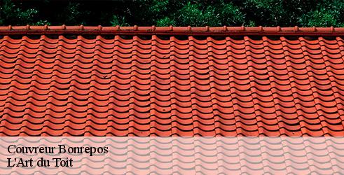 couvreur-l-art-du-toit-4