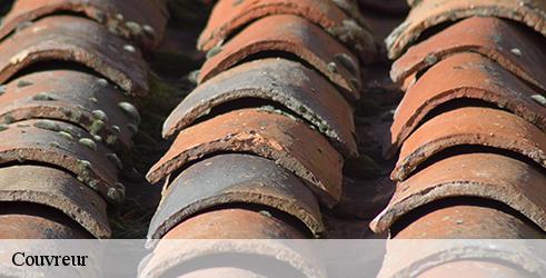 couvreur-l-art-du-toit-9