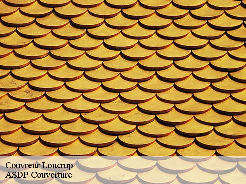 couvreur-asdp-couverture-4