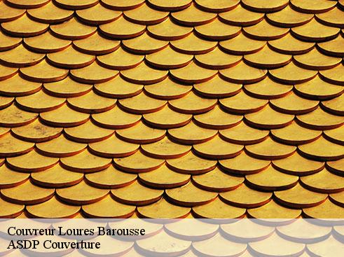 couvreur-asdp-couverture-4