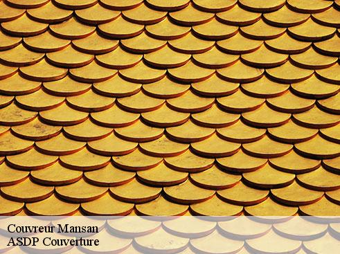 couvreur-asdp-couverture-4