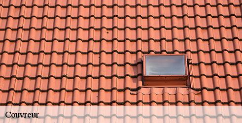 couvreur-l-art-du-toit-3