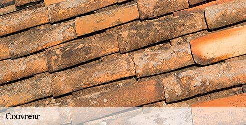 couvreur-l-art-du-toit-6