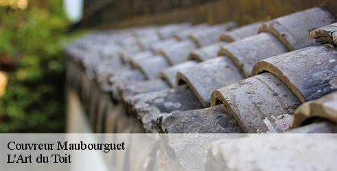 couvreur-l-art-du-toit-1