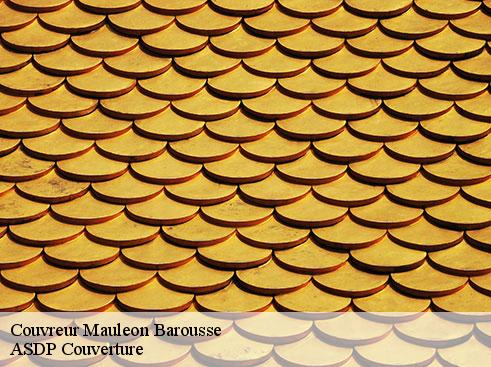 couvreur-asdp-couverture-4