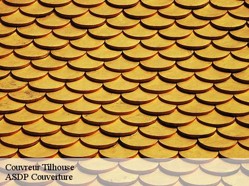 couvreur-asdp-couverture-4