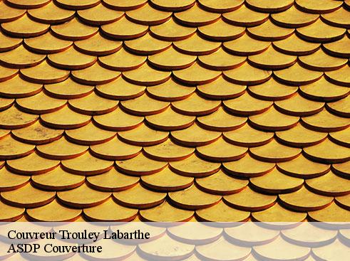 couvreur-asdp-couverture-4