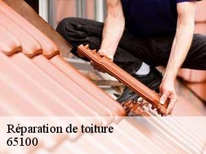 Réparation de toiture  65100