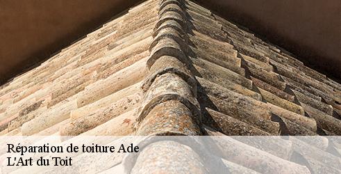 reparation-de-toiture-l-art-du-toit-7