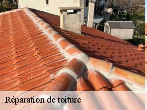 Réparation de toiture  65690