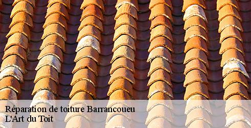 reparation-de-toiture-l-art-du-toit-10