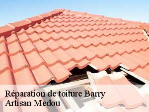 reparation-de-toiture-artisan-medou-7