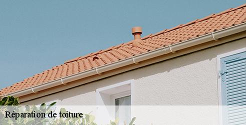 reparation-de-toiture-l-art-du-toit-9