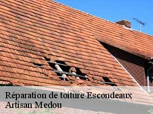 Réparation de toiture  escondeaux-65140 Artisan Medou
