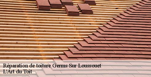 reparation-de-toiture-l-art-du-toit-4