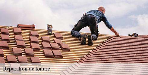 reparation-de-toiture-l-art-du-toit-3