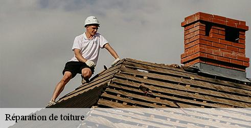 reparation-de-toiture-l-art-du-toit-6