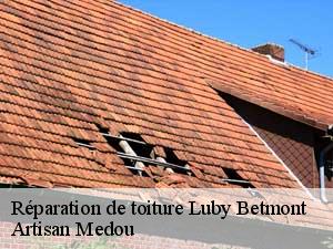 Réparation de toiture  luby-betmont-65220 Artisan Medou