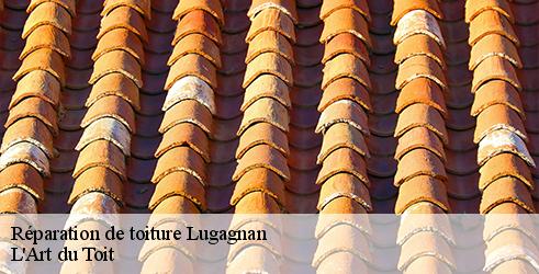 reparation-de-toiture-l-art-du-toit-10