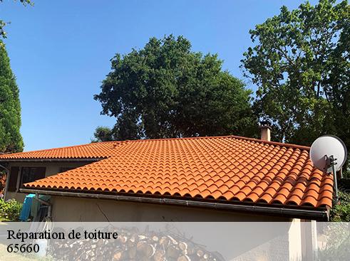 Réparation de toiture 65660