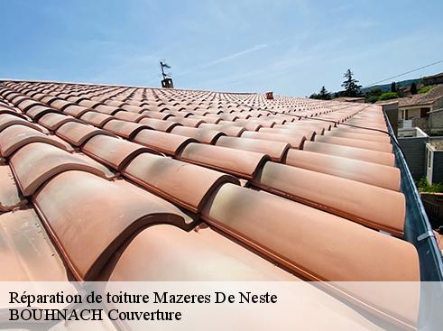 Réparation de toiture 65660