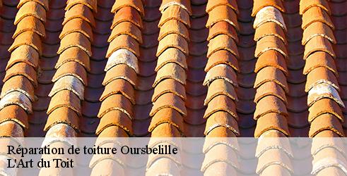 reparation-de-toiture-l-art-du-toit-10
