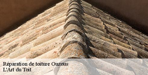 reparation-de-toiture-l-art-du-toit-7