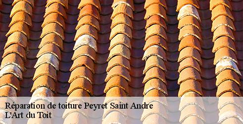 reparation-de-toiture-l-art-du-toit-10