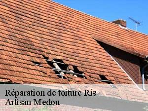 Réparation de toiture  ris-65590 Artisan Medou