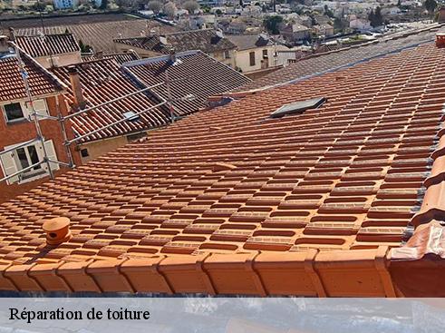 reparation-de-toiture-artisan-medou-3