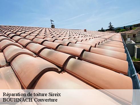 Réparation de toiture 65400