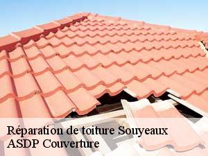 reparation-de-toiture-asdp-couverture-7