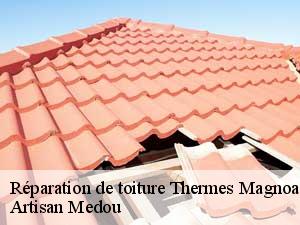reparation-de-toiture-artisan-medou-7