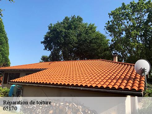 Réparation de toiture 65170