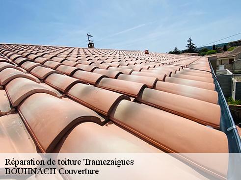 Réparation de toiture 65170