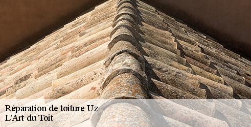 reparation-de-toiture-l-art-du-toit-7