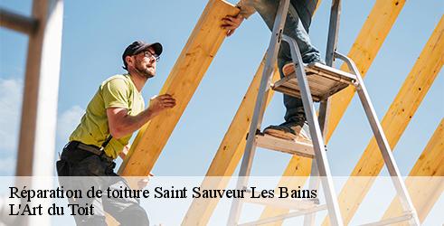 reparation-de-toiture-l-art-du-toit-1