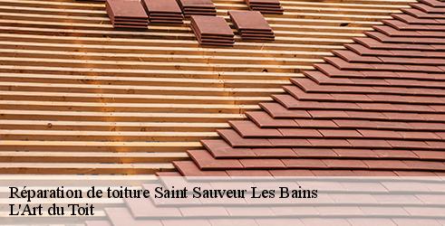 reparation-de-toiture-l-art-du-toit-4
